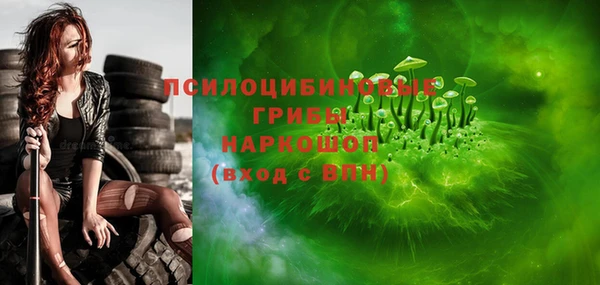 apvp Краснослободск