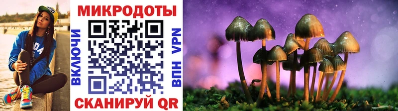 купить наркотик  Южноуральск  Галлюциногенные грибы Psilocybe 