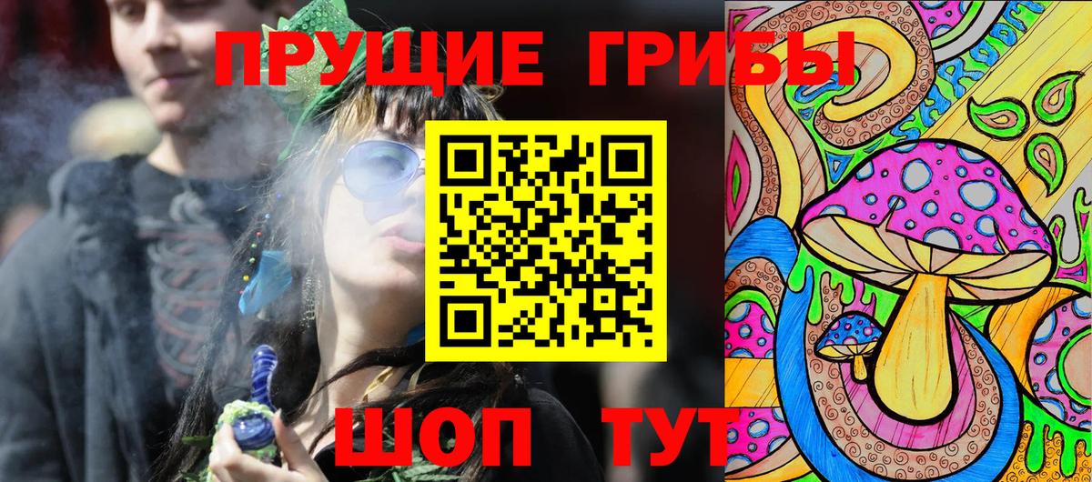 Псилоцибиновые грибы Psilocybine cubensis Южноуральск