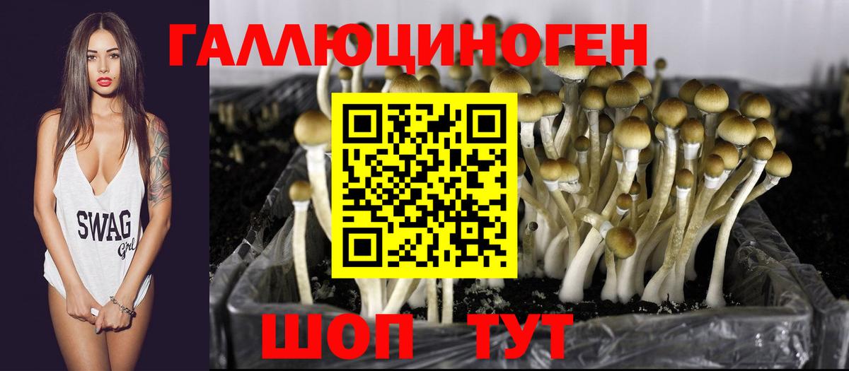 Южноуральск  Псилоцибиновые грибы Magic Shrooms  Псилоцибиновые грибы MAGIC MUSHROOMS  Вход с VPN 